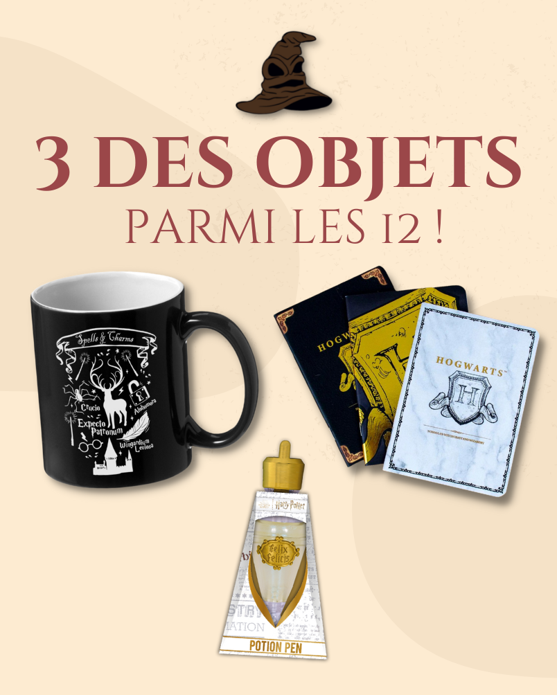 Calendrier de l'Avent Harry Potter 2022 - La Box sur Demande