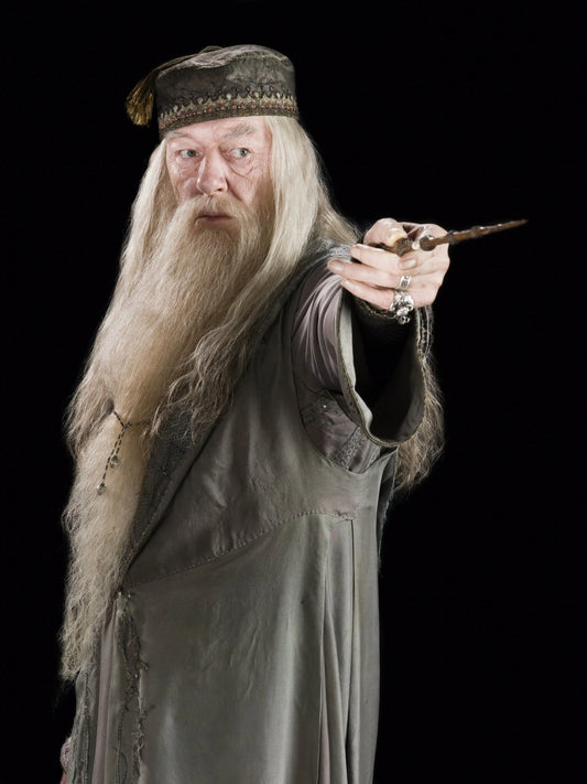 Zoom sur Albus Dumbledore