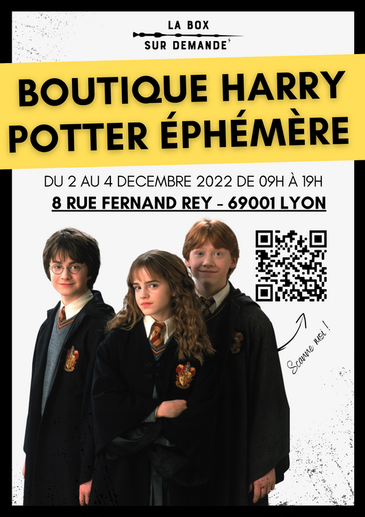 Notre Boutique Harry Potter - la Box sur Demande à Lyon !